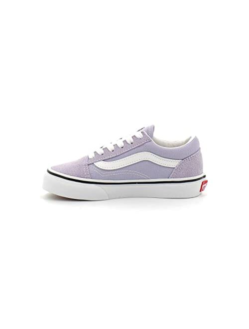 Vans Unisex-Child Old Skool V Core (Little Big Kid)