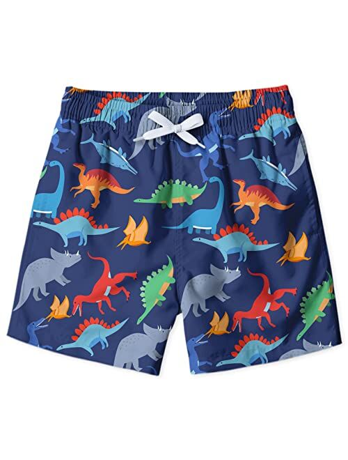 Lovekider Boys Swim Trunks Quick Dry Kids Board Shorts for Beach Drawstring Funny Swimsuit with Mesh Lining 3-12T