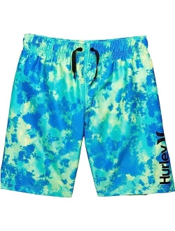 Boys' Pull on Swim Trunks