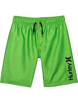 Boys Classic Pull on Swim Trunks