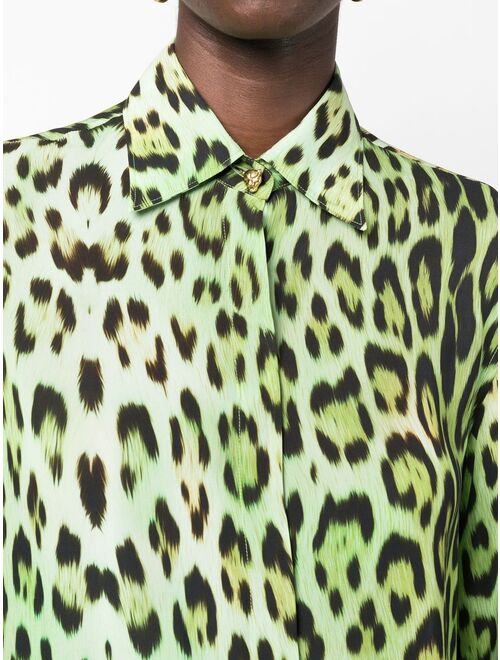 Roberto Cavalli leopard-print long-sleeve shirt