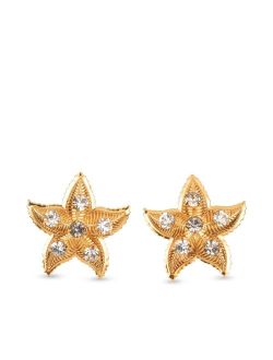 Asteroidea starfish-motif earrings