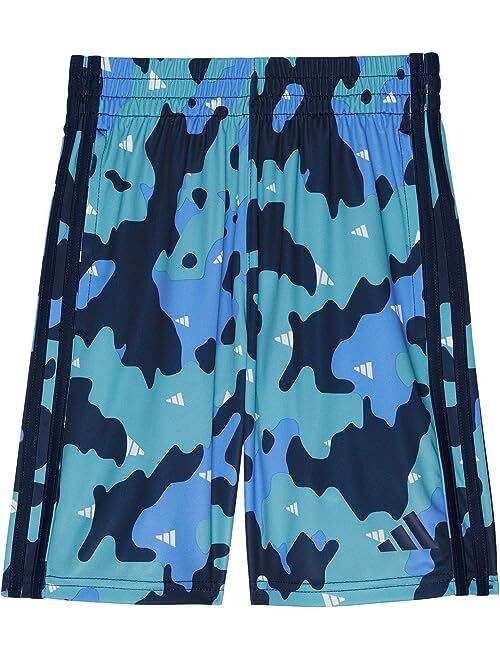 adidas Kids Camo Shorts All Over Print (Big Kids)