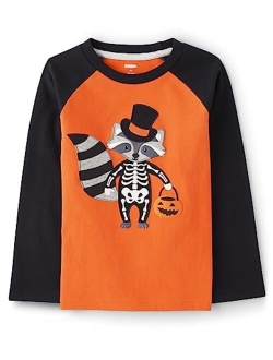 Boys' and Toddler Embroidered Graphic Long Sleeve Raglan T-Shirts