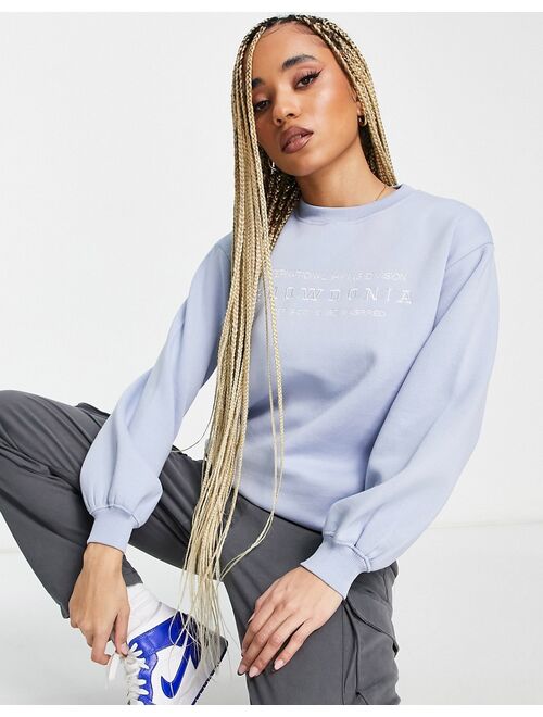 Threadbare Fitness Dixie embroidered sweatshirt in pale blue