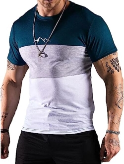 Men's Color Block Short Sleeve T Shirt Round Neck Casual Summer Tee Tops