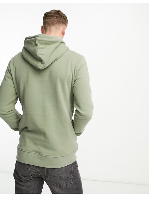 AllSaints Raven Oth hoodie in soft green