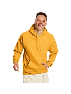 Big & Tall Hanes EcoSmart Hoodie Sweatshirt