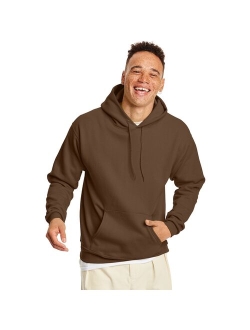 Big & Tall Hanes EcoSmart Hoodie Sweatshirt