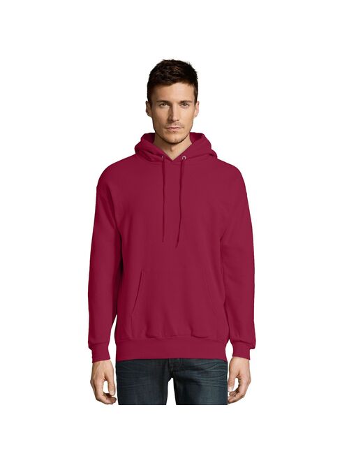 Big & Tall Hanes EcoSmart Hoodie Sweatshirt