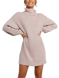 Oversized Sweaters Dress for Women Turtleneck Batwing Sleeve 2023 Fall Winter Casual Short Dress