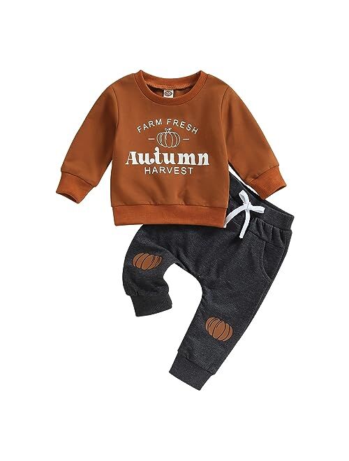 wybzd ToddlerBaby Boy Halloween Outfits Cute Pumpkin Sweatshirt Top andPant Set Infant Long Sleeve Clothes