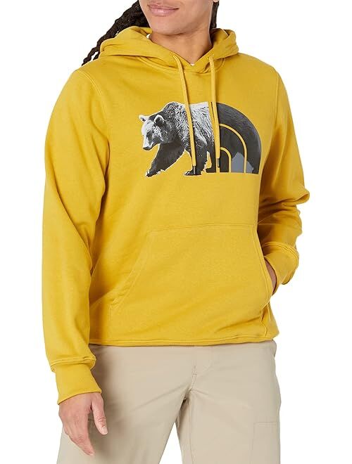 The North Face TNF Bear Pullover Hoodie