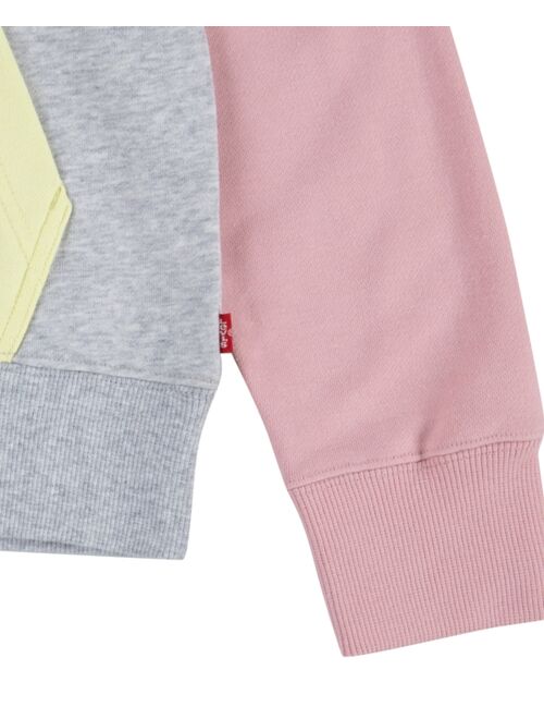 Levi's Big Boys French Terry Colorblocked Pullover Hoodie