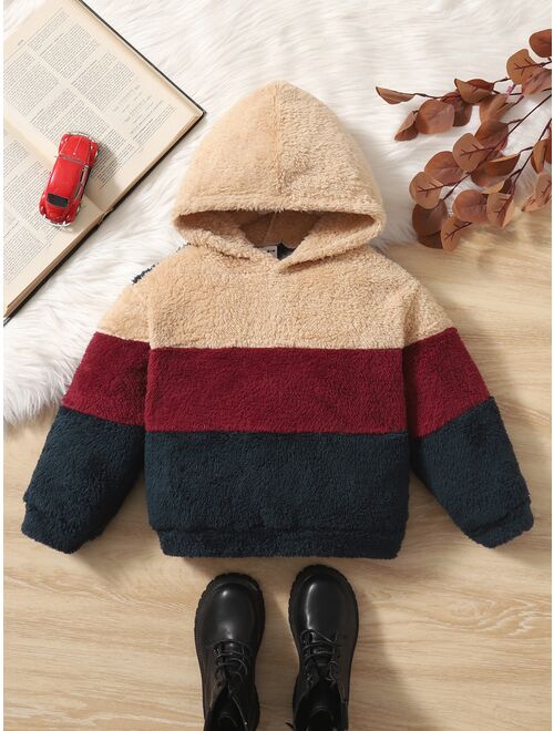 SHEIN Toddler Boys Color Block Teddy Hoodie