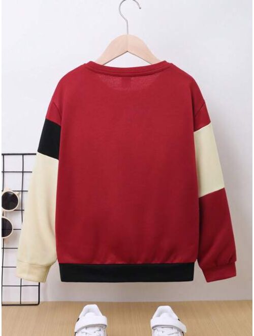 SHEIN Kids SPRTY Tween Boy Color Block Sweatshirt