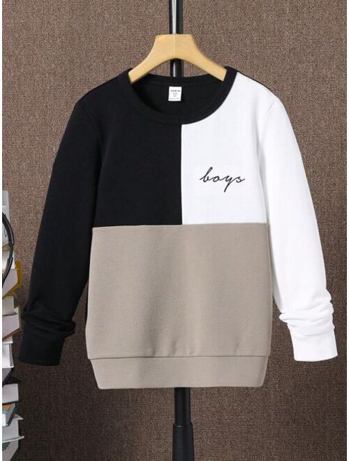 SHEIN Kids EVRYDAY Boys Letter Graphic Colorblock Sweatshirt