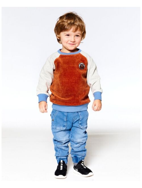 DEUX PAR DEUX Boy Color Block Raglan Velvet Rib Sweatshirt Burnt Orange - Toddler|Child