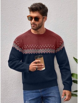 Manfinity Men Geo Pattern Raglan Sleeve Sweater