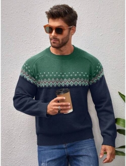 Manfinity Men Geo Pattern Raglan Sleeve Sweater