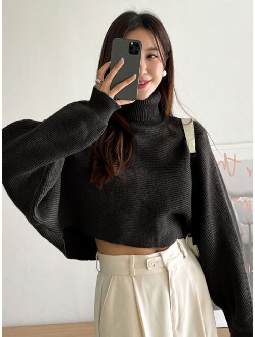 DAZY Turtleneck Batwing Sleeve Sweater