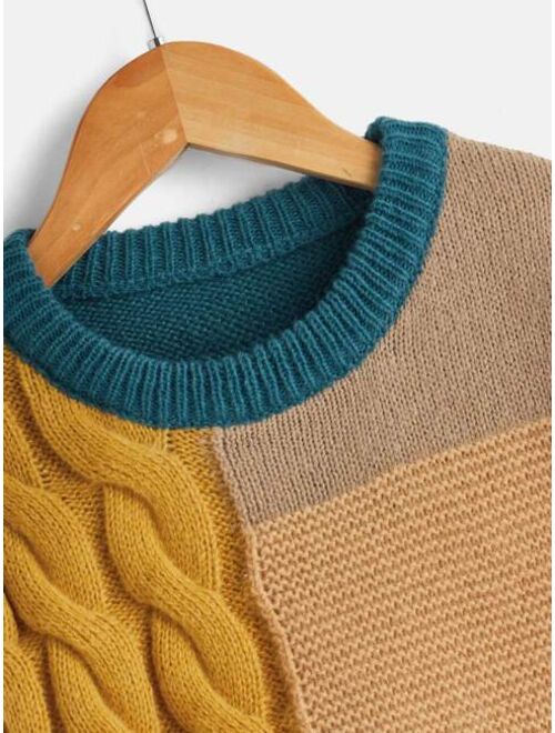 Shein Toddler Boys Color Block Drop Shoulder Cable Knit Sweater