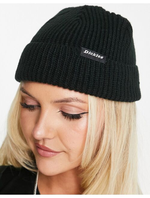 Dickies Woodworth beanie in black