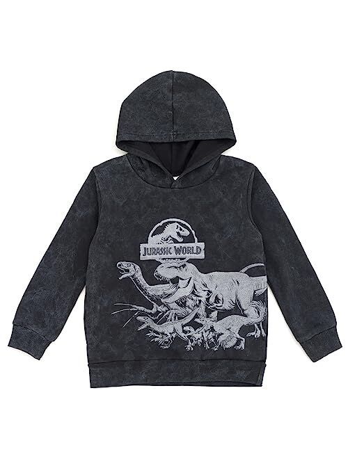 Jurassic World Dinosaur T-Rex Fleece Pullover Hoodie Toddler to Big Kid