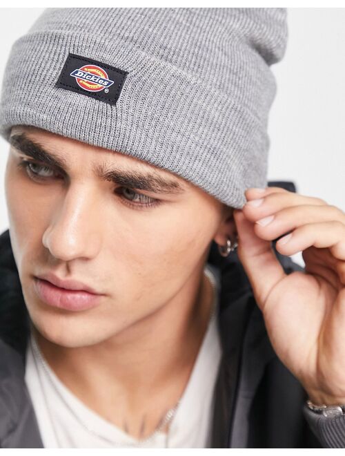 Dickies Gibsland beanie in gray