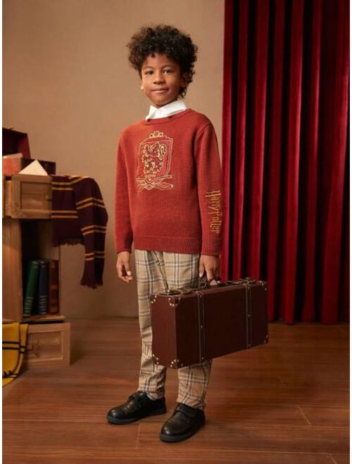 HARRY POTTER X SHEIN Tween Boy Graphic Embroidery Sweater Without Shirt