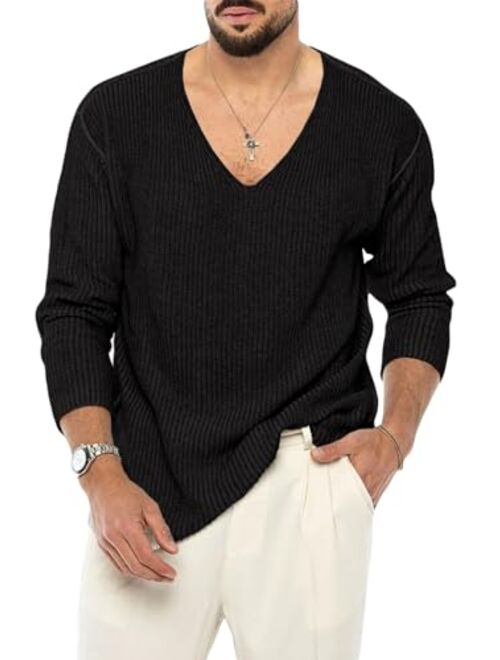 PASLTER Mens V Neck Sweater Slim Fit Lightweight Knitted Pullover Stylish Sweater