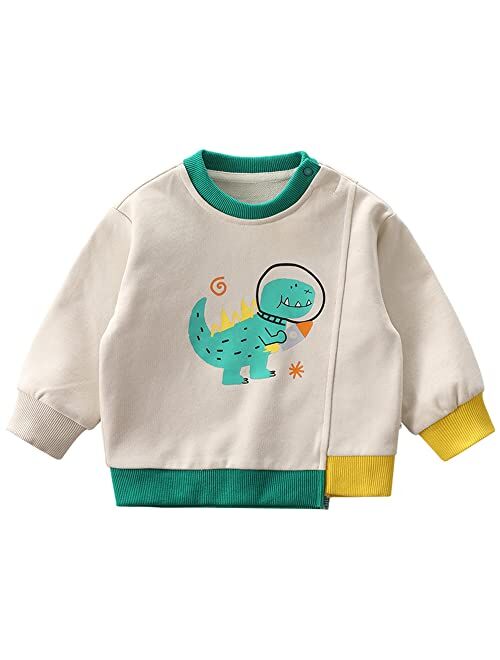 LABISHU Girls Boys Crewneck Sweatshirt Pullover Long Sleeve Frog Sweatshirts Tops Casual Fall Toddler Clothes 1-7Y