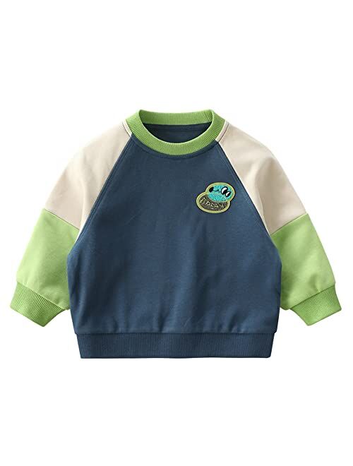 LABISHU Girls Boys Crewneck Sweatshirt Pullover Long Sleeve Frog Sweatshirts Tops Casual Fall Toddler Clothes 1-7Y