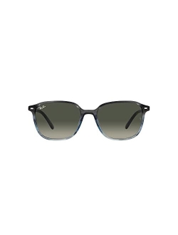 Unisex Sunglasses, RB219353-P