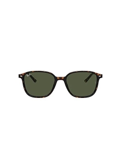 Unisex Sunglasses, RB219353-P