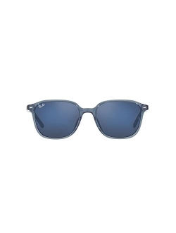 Unisex Sunglasses, RB219353-P