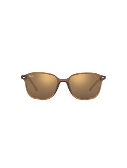 Unisex Sunglasses, RB219353-Z