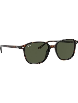 Unisex Sunglasses, RB219353-Z