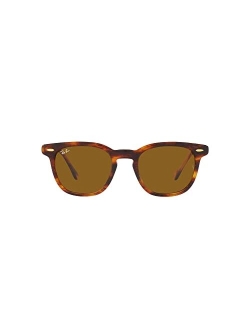 Unisex Polarized Sunglasses, RB2298 HAWKEYE