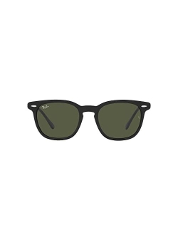 Unisex Polarized Sunglasses, RB2298 HAWKEYE