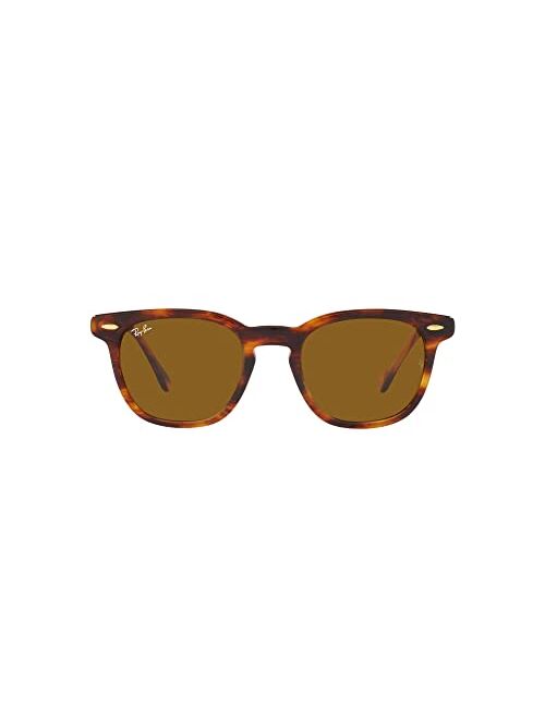 Ray-Ban Unisex Polarized Sunglasses, RB2298 HAWKEYE