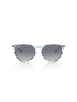 Women's Erika Polarized Sunglasses, RB4171