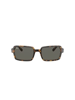 Polarized Sunglasses, RB2189 Benji