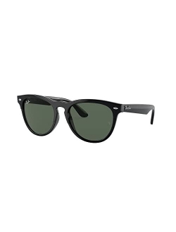 Unisex Sunglasses, RB447154-Y