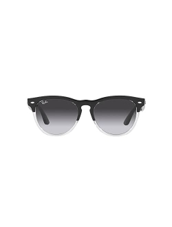 Unisex Sunglasses, RB447154-Y