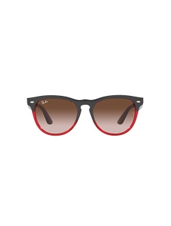 Unisex Sunglasses, RB447154-Y