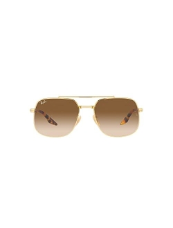 Unisex Polarized Sunglasses, RB3699