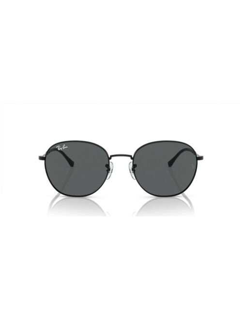 Ray-Ban Unisex Sunglasses RB3809