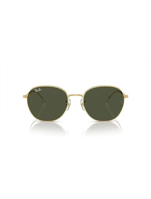 Ray-Ban Unisex Sunglasses RB3809