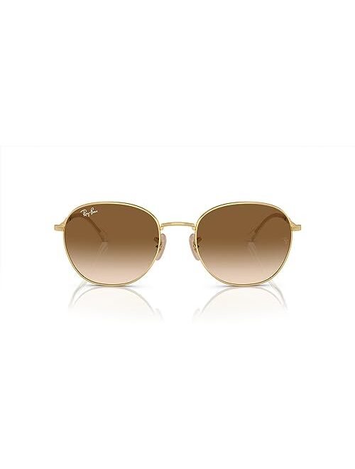 Ray-Ban Unisex Sunglasses RB3809